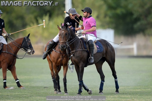 2013-09-14 Audi Polo Gold Cup 0824
